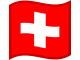 Swiss World Cup Flag