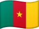 Cameroon World Cup Flag